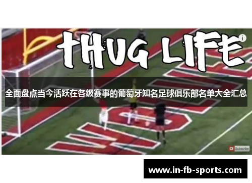 全面盘点当今活跃在各级赛事的葡萄牙知名足球俱乐部名单大全汇总